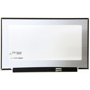 LED 17,3 Inch 1920x1080 IPS Mat 300Hz 40-pins Slimline non-bracket