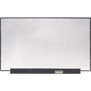 LED 16,1 Inch 2560x1440 MAT 40-pins Slimline 165Hz IPS
