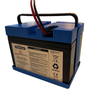 Peg Perego 12V 12Ah Lithium Accu voor Elektrische Voertuigen